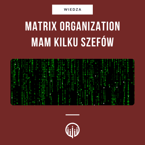 Matrix Organization. Mam wielu szefów